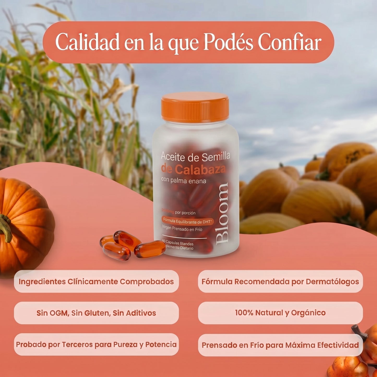 Bloom — Recuperá tu pelo desde adentro.