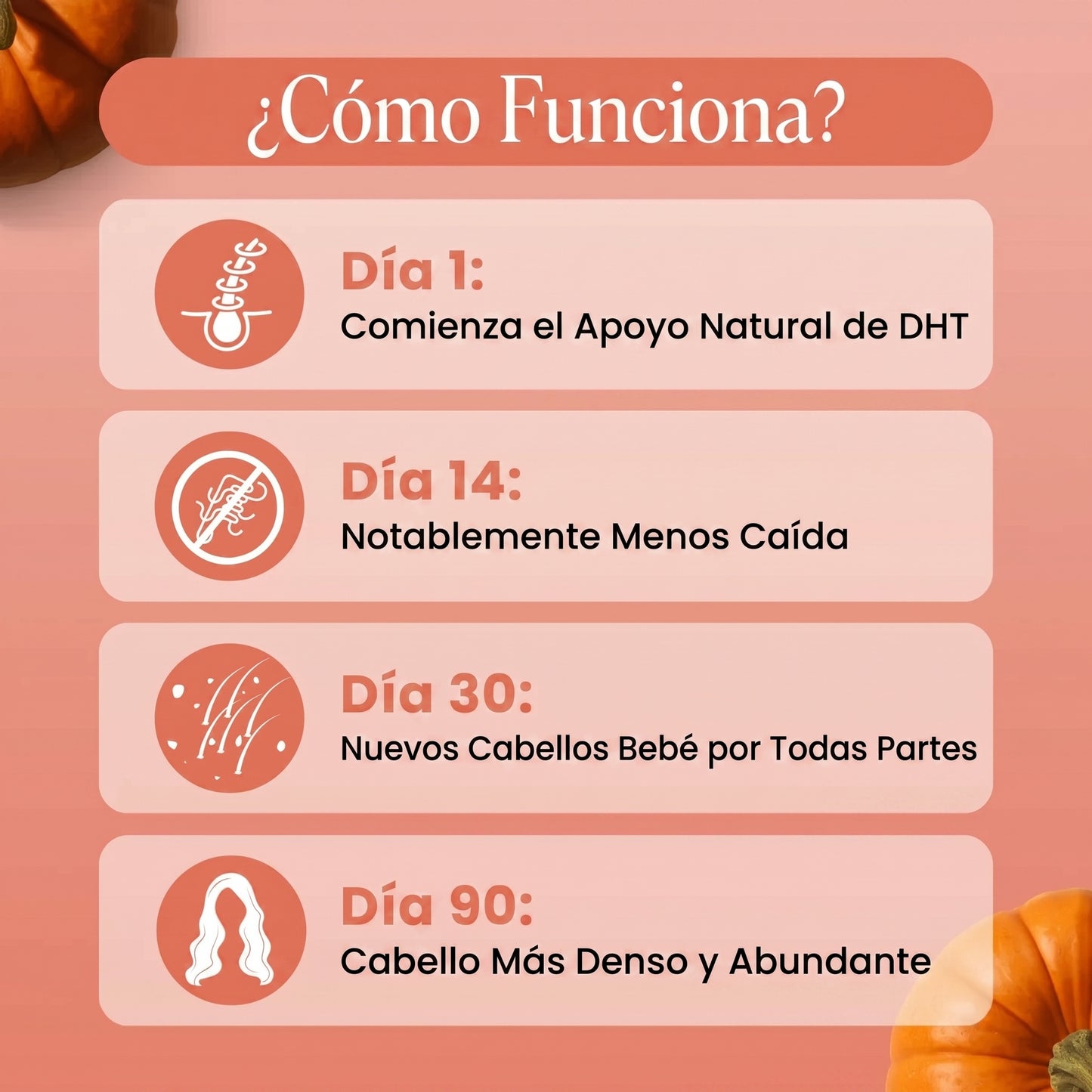 Bloom — Recuperá tu pelo desde adentro.